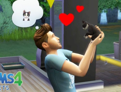 gamer chad archives cute