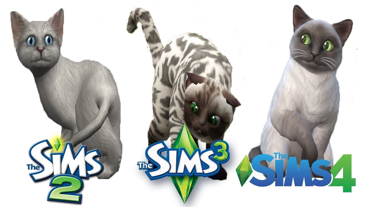 ♦ Sims 2 vs Sims 3 vs Sims 4 Kittens Cute Kittens Videos