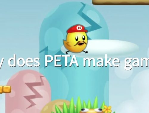 peta games archives cute kittens videos
