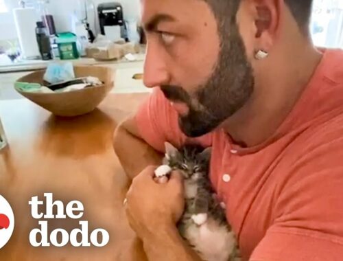 Phone-Sized Kitten Turns Guy Into A Cat Person | The Dodo Little But Fierce