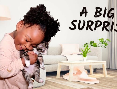 Surprising Tyanna with Kittens | Toddler Reacts to Big Surprise!