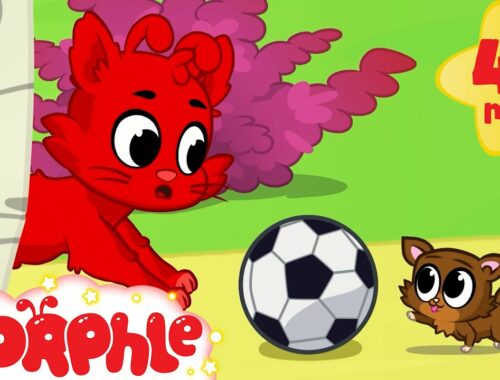 Morphle and the Kittens | Fun Animal Cartoons | @MorphleTV  | Learning for Kids
