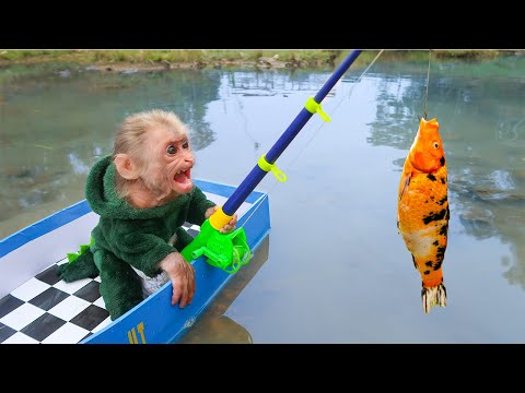 Baby Monkey Goes Koi Fishing And Eats With Kittens