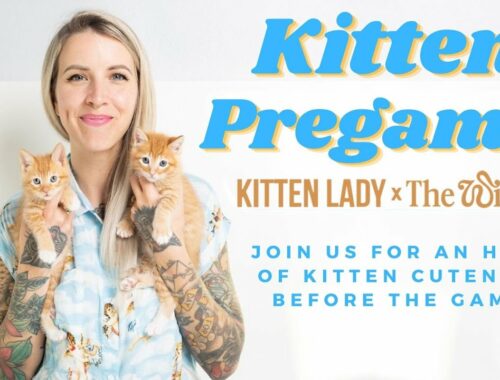 Kitten Pregame!