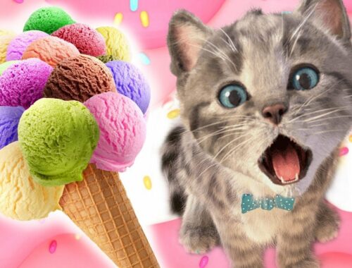 My Favorite Cat Little Kitten Preschool -  Play Fun Cute Kitten Care Games For Kids Children