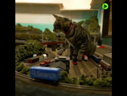 Monster Cats or Tiny Trains? | Diorama-Themed Osaka Restaurant Lets Kittens Play God