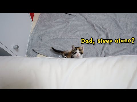 The Rescued Kitten comes and says every night, "I want to sleep together"