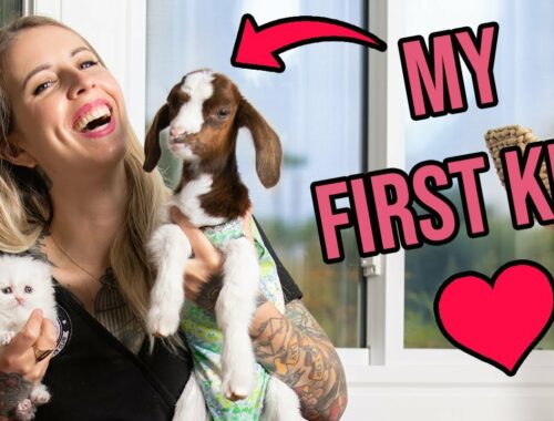 I'm a Baby Goat Mom! (5 Things to Know About Caring for Them!)