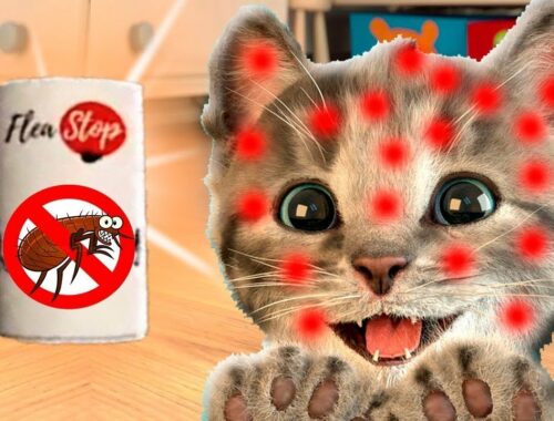 LITTLE KITTEN ADVENTURE - Play Fun Pet Care Kids Game with the cutest cat Cartoon