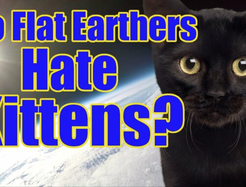Do Flat Earthers hate kittens?