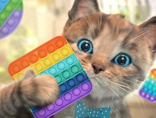 Fun Pet Kitten Care Kids Games - Little Kitten My Favorite Cat - Fun Kids Learning Games