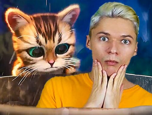 Kitten Match and Me #10 - PURRFECT Time with Cute Kitties COMPILATION