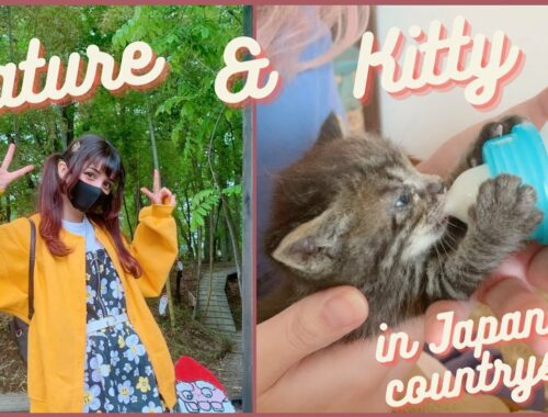 Visiting Tochigi For Nature & Kittens || My Life In Japan