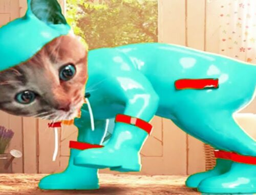 Play Fun Kitten Care Kids Games - Little Kitten Adventure - Animal Costumes Dress Up Puzzles Games