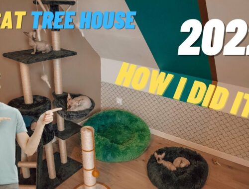 Cat Tree House 2022 Kittens Playroom