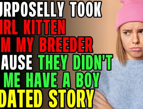 I Scammed My Cat Breeder By Switching Out The Kittens r/Relationships