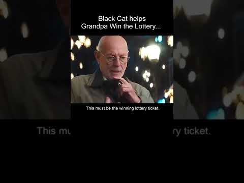 Abandoned Black Kitten Helps Grandpa Win Lottery