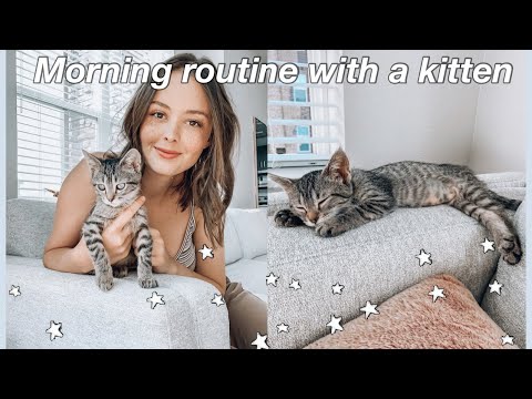MORNING ROUTINE WITH A KITTEN! | Cat morning routines