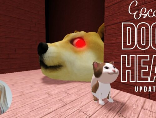 Doge Head Escape Roblox Orange Key Updated [4K] - 6 Popcat Kittens - No Death Full Gameplay