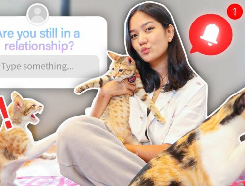 Answering Your Questions With Kittens! | Nina Stephanie