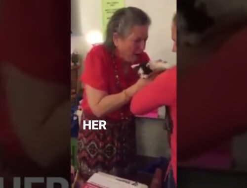 STUDENTS SURPRISE TEACHER WITH KITTENS AFTER HER CAT PASSED AWAY! #shorts