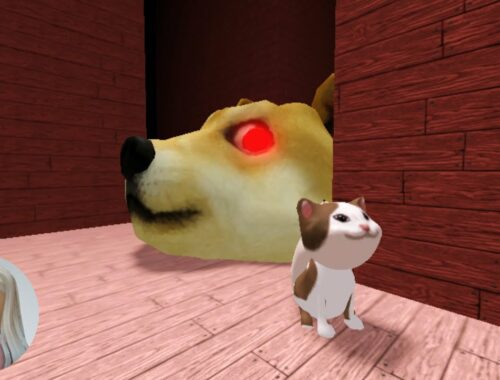 Doge Head Escape Roblox - ALL 6 Popcat Kittens - No Death Full Walkthrough - Game By @manato48