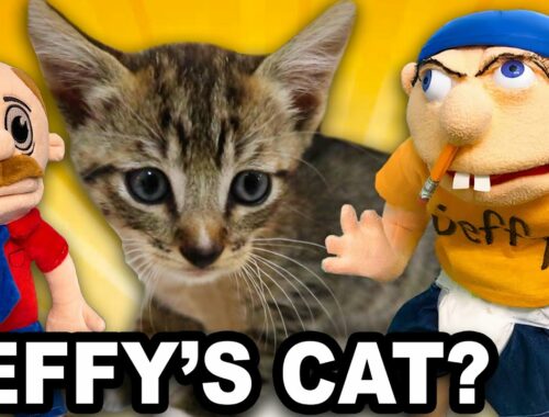 SML Movie: Jeffy's New Kitten!
