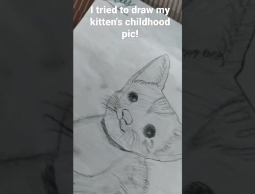 Tried To draw my kittens Childhood pic(I'm bad at drawing)
