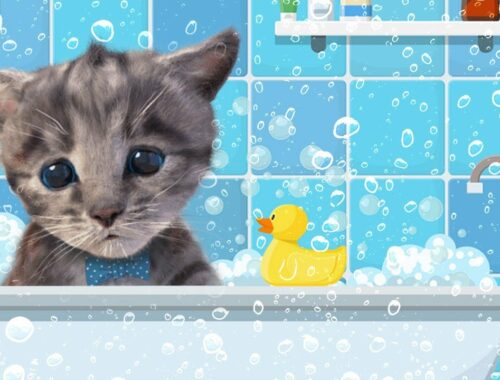 Little Kitten Adventure Games - Care for your pet kitty - Recycling Game Kittens need a home
