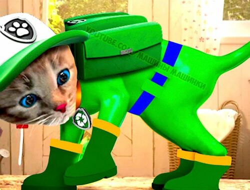 Little Kitten Preschool Adventure Educational Games iOS - Play Fun Cute Kitten Pet Care Learning Kid
