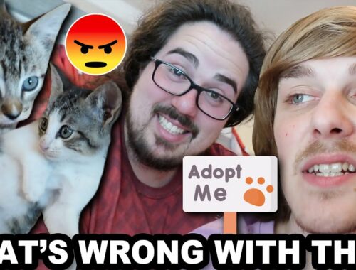 WE ARE NOT KEEPING THE KITTENS!!! (Say Goodbye)