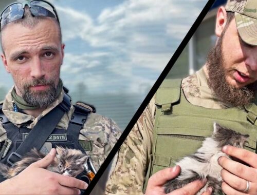 Ukrainian Soldiers Rescue Kittens