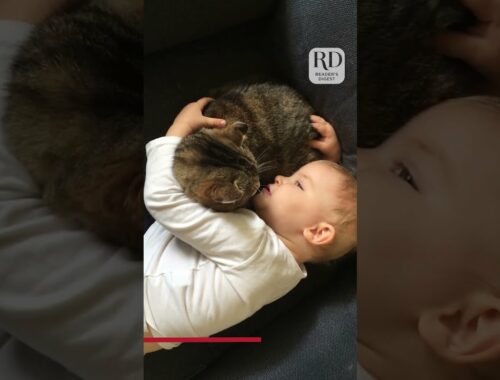 Baby Assures Kitten