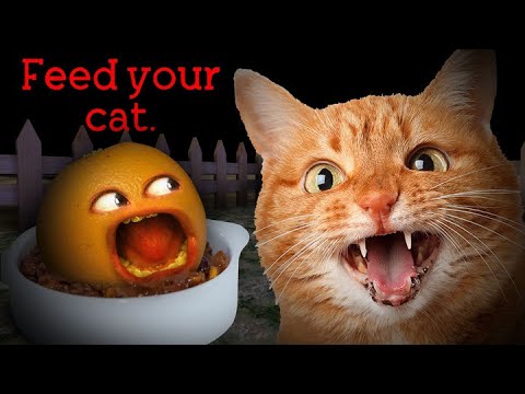 You KITTEN ME!?!?!  Feed Your CAT!