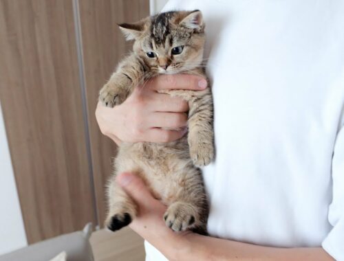 Kitten Kiki is growing too fast...