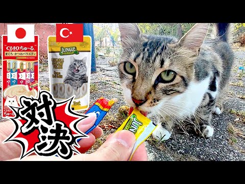 【猫30匹】日本のちゅ〜るは海外の偽物に勝てるのか？野良猫で検証