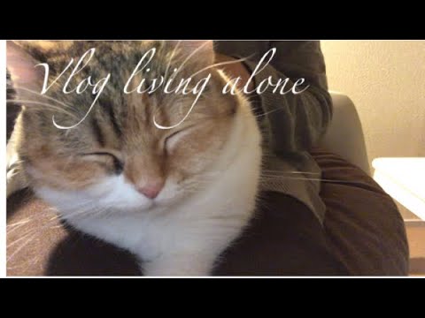 [シンプルライフ]　アメリカンカールの三毛猫ちょびとのんびりな休日 / relaxing day with my Chobi Cat [vlog #34]