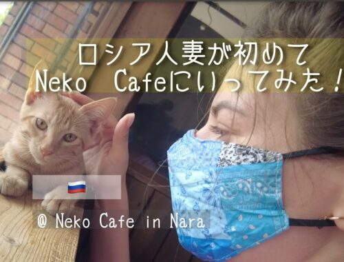【国際結婚】外国人の奥さんが初めて日本のネコカフェに行った結果。〜日本のネコが大好きになった。〜　#国際結婚 #猫カフェ  #外国人