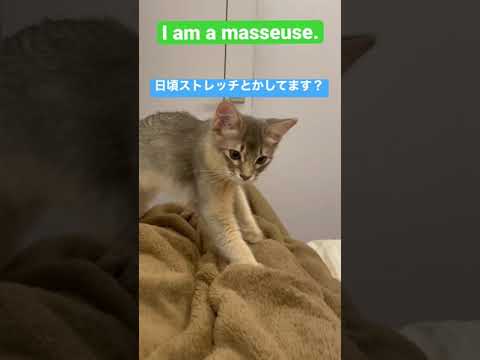 【ソマリ】猫のマッサージ師〜I am a masseuse〜