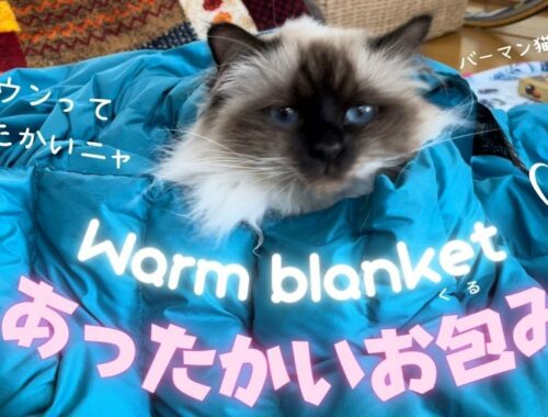 ダウンブランケットはポカポカ【あったかいお包み】Warm blanket （バーマン猫）Birman/Cat