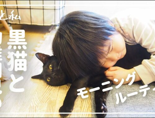 【日本猫】黒猫と5歳息子のゴールデンウィーク【猫と暮らす家】