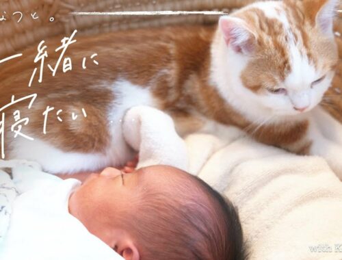 どうしても赤ちゃんと一緒に寝たい子猫がとった行動とは…