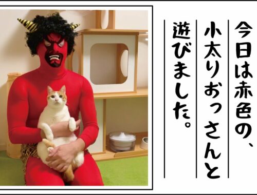 【節分】今年は赤鬼さんが猫達と遊びにきてくれました楽しかったです【関西弁でしゃべる猫】