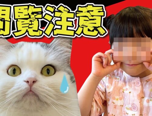 【閲覧注意】5歳の娘がつくしに乗り移った結果とんでもない映像に…【関西弁でしゃべる猫】