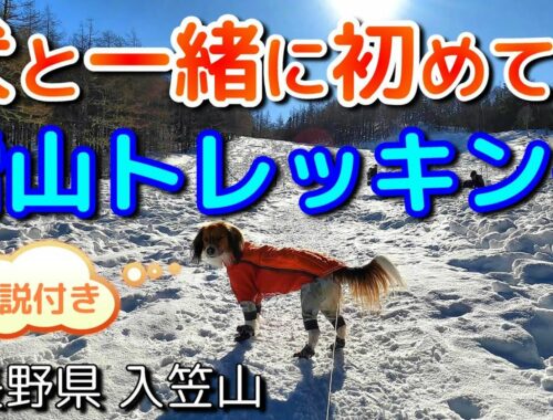 初めての犬と一緒に雪山登山＠長野県入笠山