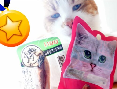 やばい！まさかの結果！焼きカツオ対決！猫の好みは日本のいなば？海外製品？