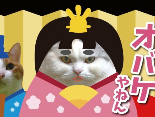 猫達による面白すぎるひな祭りがこちら【関西弁でしゃべる猫】
