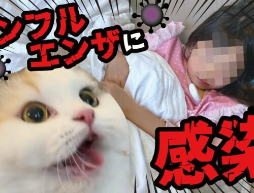 引っ越しで大変な時期に5歳の娘がインフルエンザにかかってしまいました…【関西弁でしゃべる猫】