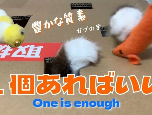 豊かな質素【１個あればいい】One is enough （バーマン猫）Birman/Cat