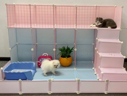 Building Awesome Two-floor House for Pomeranian Poodle Puppies & Kitten with Iron & Recycled Plastic